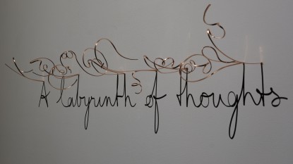Fred Eerdekens, A Labyrinth of Thoughts, 2024