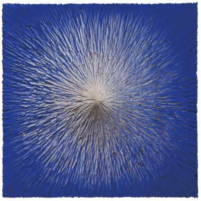 Alfred Haberpointner, W-TTSN, 2017